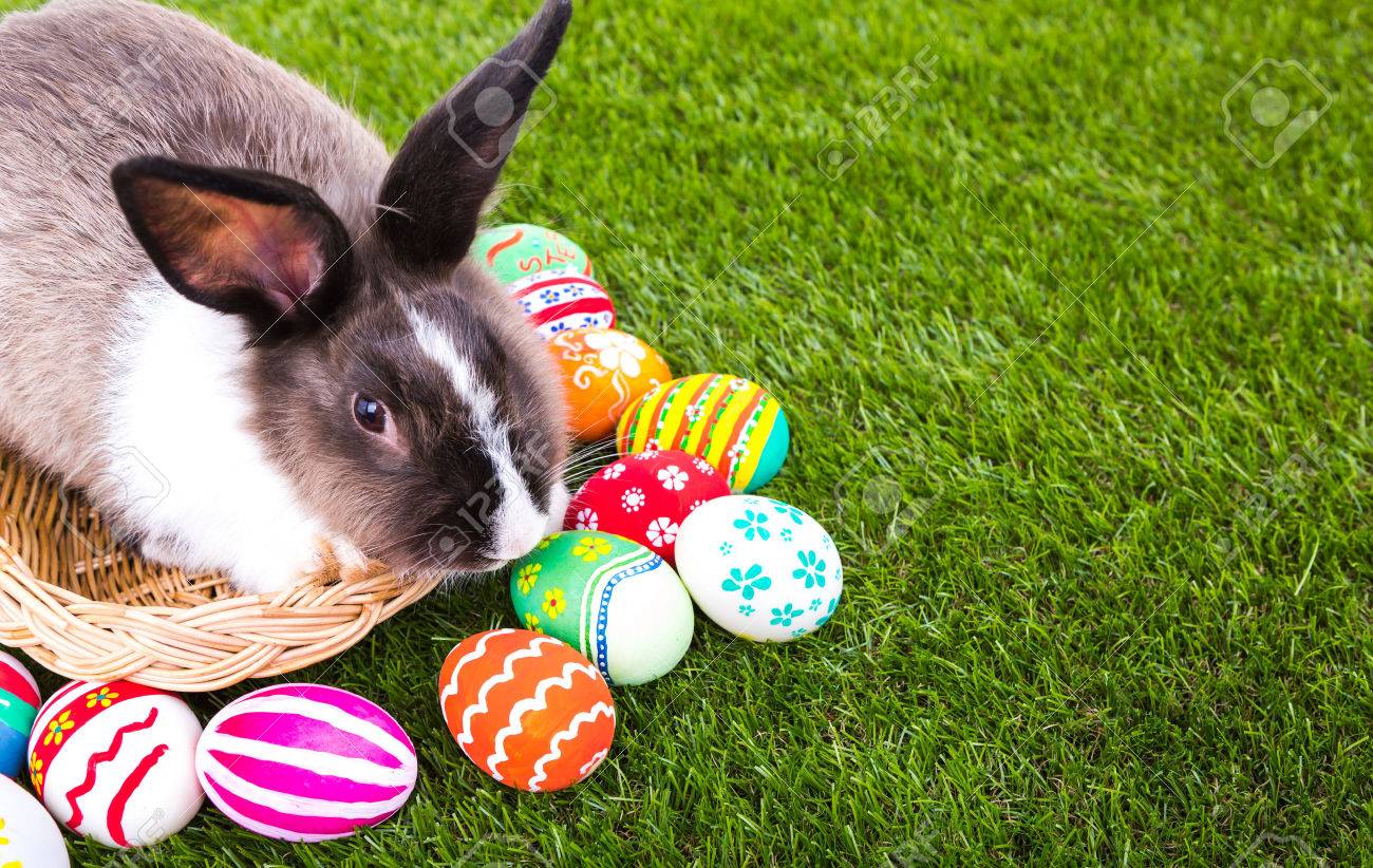 La Leyenda Del Conejo De Pascua Pensión La Favorita Jávea 3176